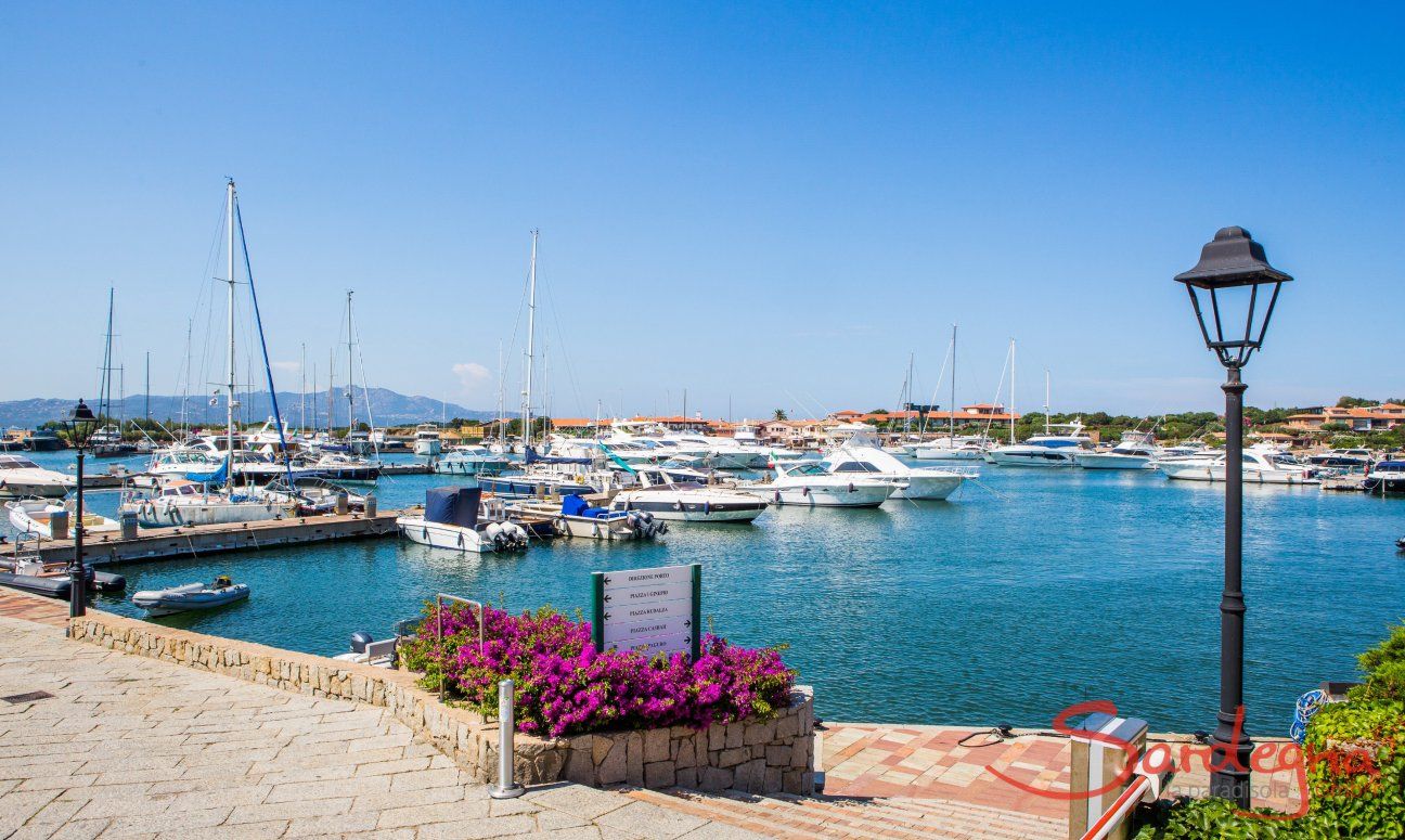 The 8 Best Restaurants in Porto Rotondo for Summer 2026