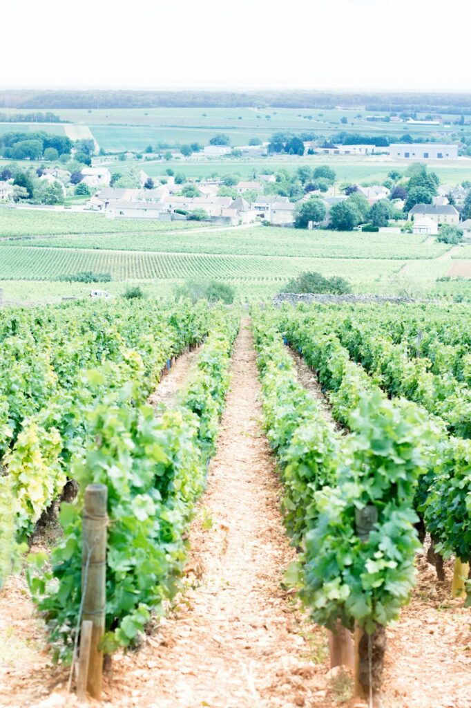 Le VIII Opens in Pommard With Three Menus From &euro;180