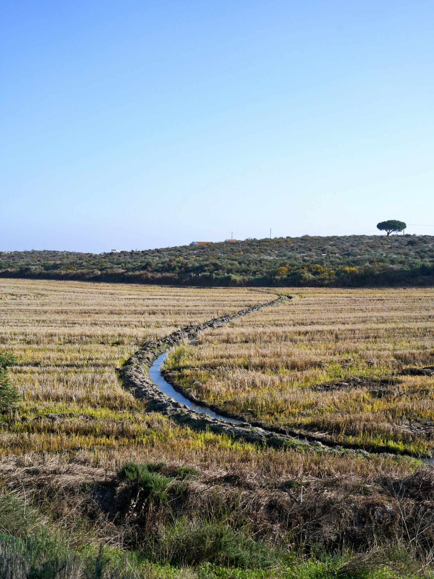 Park Hyatt Comporta Is Planned for 2029, With Residences at the Centre