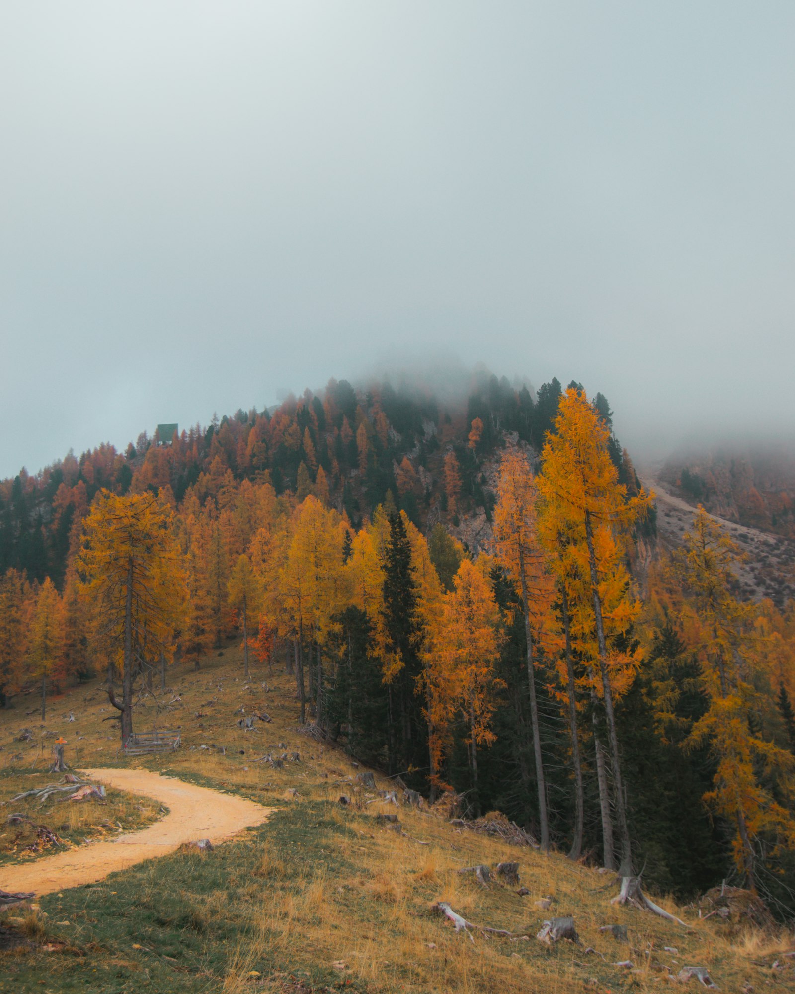 Hotel Saltus: Forest-Level Saunas and a 17-Metre Roof Pool