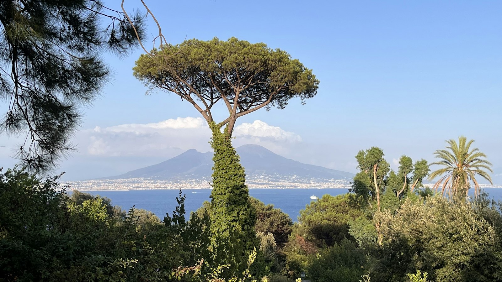 Riserva Rooftop, Naples: 2 Terraces and a New Italian Fit-Out