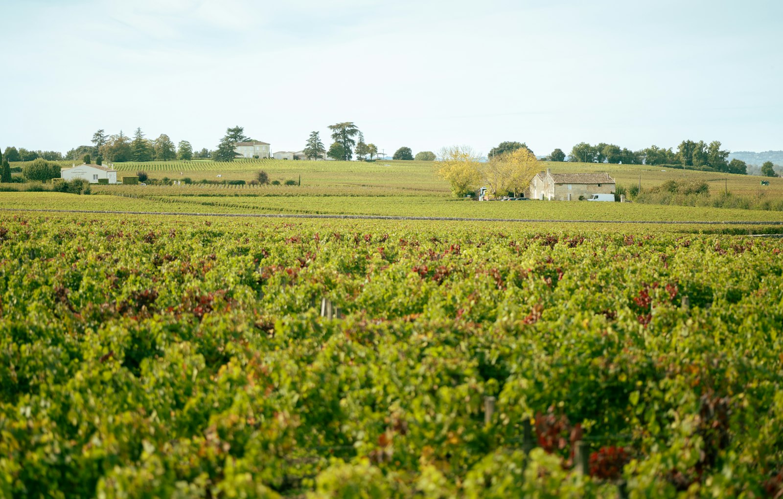 A barrel of Haut-Brion 2025, 300 bottles’ worth, sells for 162,500 euros