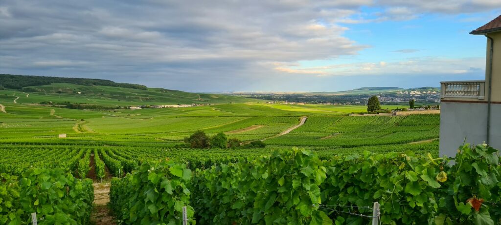 Michelin Keys 2026 Champagne and Burgundy: 10 hotels, from Reims to Beaune