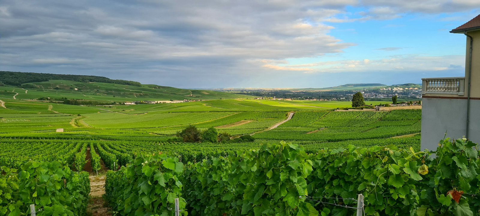 Michelin Keys 2026 Champagne and Burgundy: 10 hotels, from Reims to Beaune
